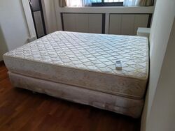 Blk 255 Simei Street 1 (Tampines), HDB 5 Rooms #524397211